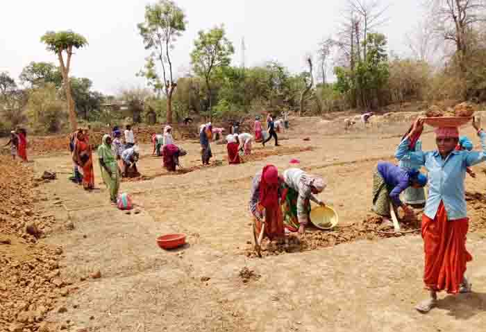 Plant planting will be done in hundreds of hectares of land