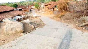 Listen to collector saheb,till now only five tribals got PM residence