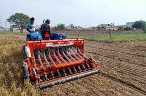 Super cedar is a boon for farmers