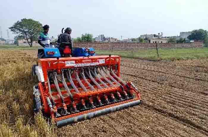 Super cedar is a boon for farmers