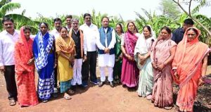 Farmers moved to wards crops other than paddy