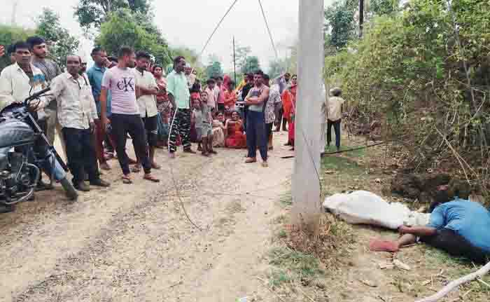 Ayoung man who went to save the cow dies due to current