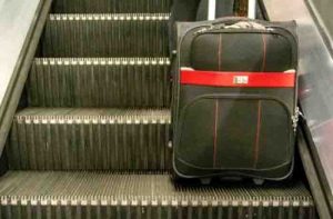 There was a panic as soon as the suitcase opened