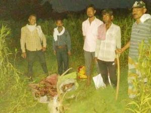 Male chital hunting in balaghat,7 caught.one absconding
