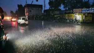 Hail will fall with strong winds in many districts