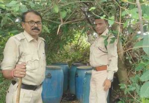 15 kuntal mahua lahan seized in drums