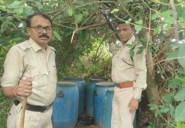 15 kuntal mahua lahan seized in drums