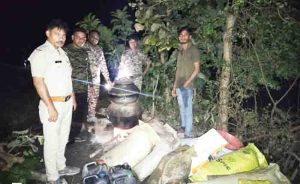 80 Litters of illicit liquor seized, accused absconding