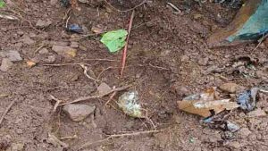 Naxalites plans 14 ids and 52 kg ammonium nitrate recovered