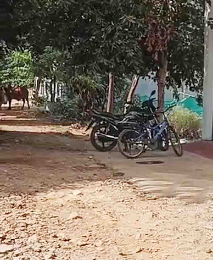 Colony people are paying tax but no facility