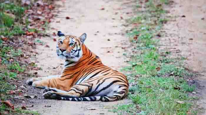 Sonewani corridor is the door to history and expectation