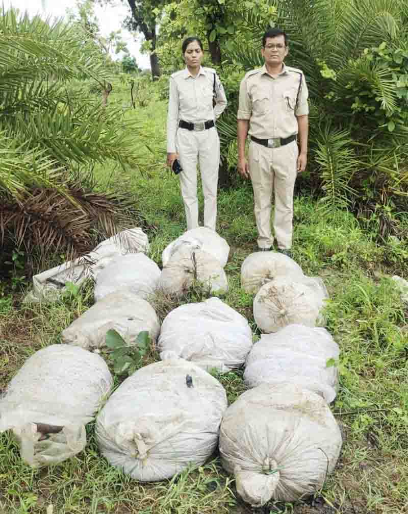 Action against air liquor ,one and a half lakh mahua lahan seized