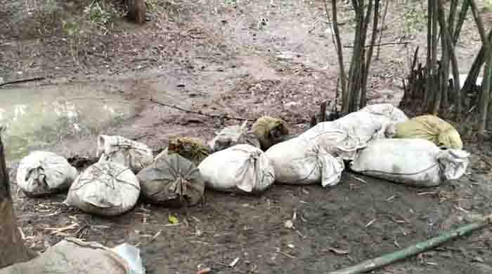 Mahua lahan of rs 3.60 lakh seized from khursodi drain in balaghat