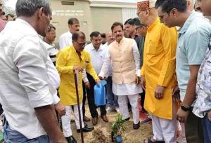 Come on rewa again plant corruption,thre is no place for 6 lakh plants