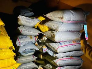 Licenses of three traders canceled for selling fake fertilizer seeds