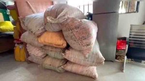 Caught with trucks carrying illegal hemp worth 31 lakh