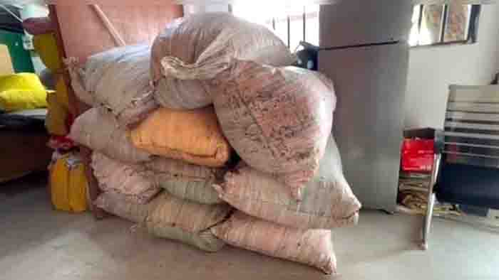 Caught with trucks carrying illegal hemp worth 31 lakh