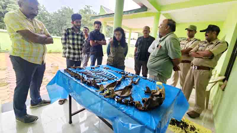 Accused arrested with leopard residue