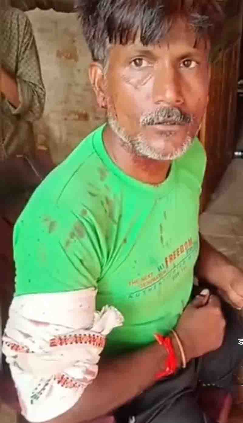 Buffalo ran and saved the shepherd from tiger in balaghat