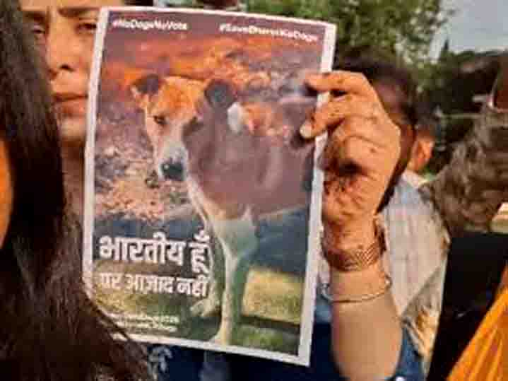 Animal lovers protested against supreme court order in bhopal