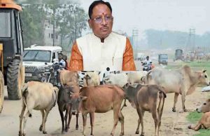 Godham instead of gothan in chhattisgarh